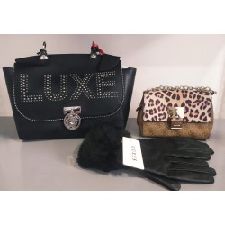 Accessori e Borse Guess